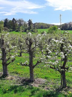 Foto von Marco Sandfort-Wessels entlang der Tour