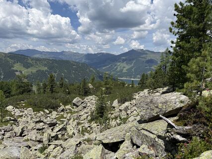 Fotografija s spletne strani Simone Reimann na poti