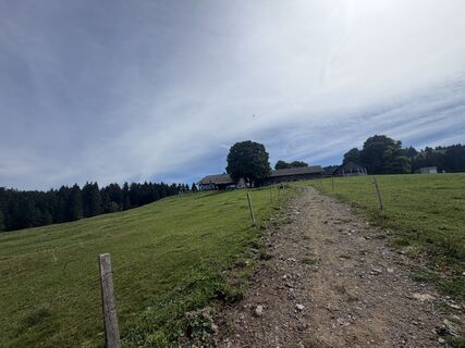 Foto von Dóra Halász 1 entlang der Tour