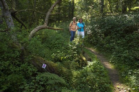 Auf der Traumschleife Oppig-Grät-Weg