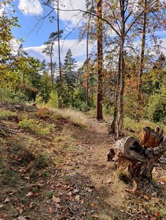 Zdjęcie z DevilsBastard wzdłuż trasy