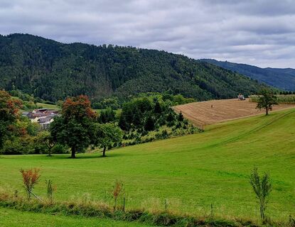 Foto von zirberl entlang der Tour