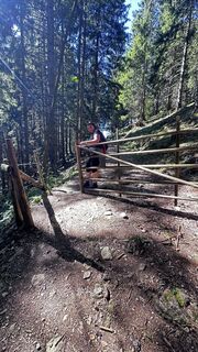 Foto von Kerstin Ratzinger entlang der Tour