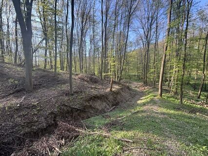 Foto de Reti Alicia a lo largo del recorrido