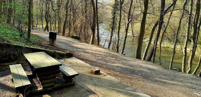 Photo de Rade Iljic le long du parcours