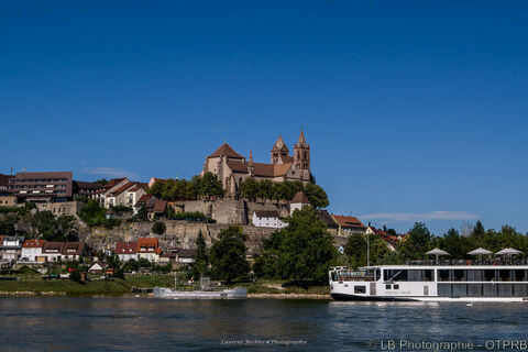 Vogelgrun - Rhein