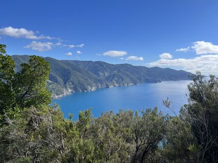 Photo de Alexandra von Rheinbaben le long du parcours