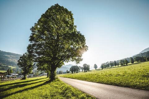 Talwanderweg Westendorf - Kirchberg_Kitzbüheler Alpen-Brixental_Mathäus Gartner 2019 (FULL)24.jpg