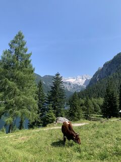 Foto von Torsten Klein entlang der Tour