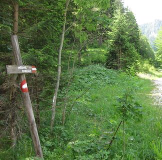Aufstieg