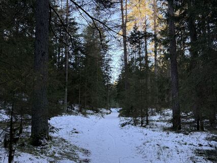 Zdjęcie z Norbert Herbig wzdłuż trasy