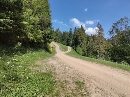 Karte