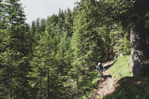 9,90 - Fassa Bike Park Canazei - ©Archivio APT Val di Fassa