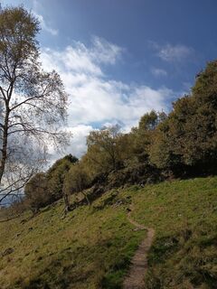 Zdjęcie z Aner wzdłuż trasy