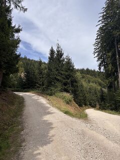Foto de Heinz Sperl a lo largo del recorrido