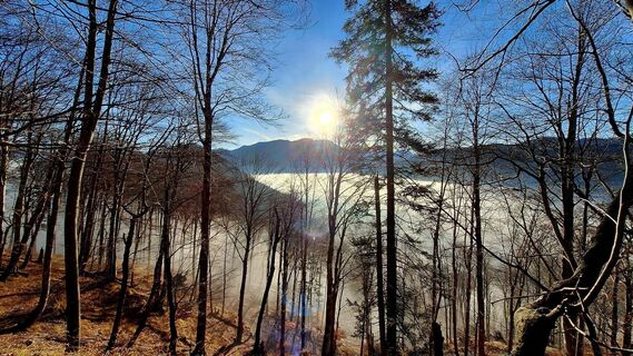 Photo de Regina Fleischmann le long du parcours