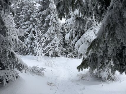 Fotografia z Natur_erleben_dg na trase