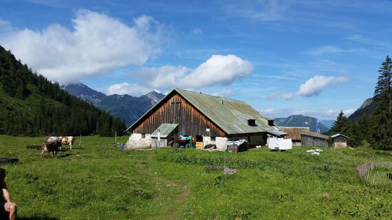 Willersalpe