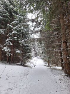 Foto de Katharina a lo largo del recorrido