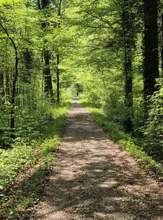 Zdjęcie z Thomi W wzdłuż trasy