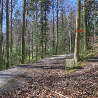 In der Nähe der Siedlung Aschenhütte