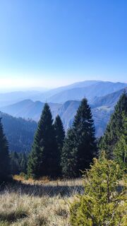 Foto fra Ivana Kostic undervejs på turen