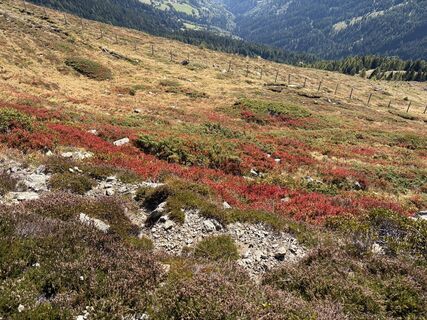 Photo de Gerald Kleber le long du parcours