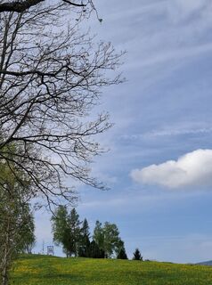 Fotografia z Franz Scharf 4 na trase