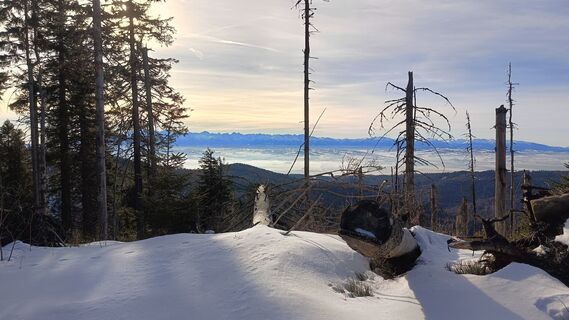Photo de Romek Dwornik le long du parcours