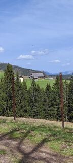 Foto fra Teuschl Michael undervejs på turen