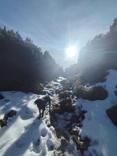Fotó a Maria Hemetsberger honlapról a túra során