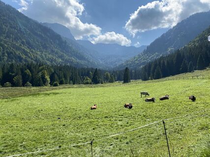 Foto von justasimpleguy entlang der Tour