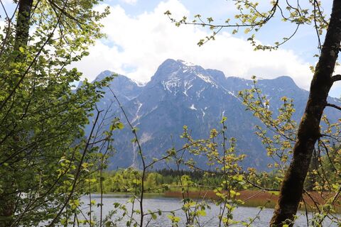 Foto von Bernard entlang der Tour
