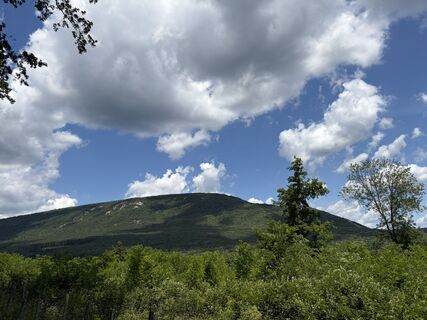 Fotografija s spletne strani Máté Ádám Schultheisz na poti