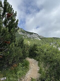 Fotografija s spletne strani Jurij Kobal na poti