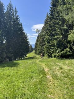 Foto von Robert.Unterlercher entlang der Tour