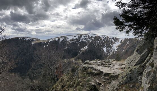 Fotografia z Jack ROMAN na trase