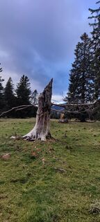 Fotografija s spletne strani Hakuna Matata na poti