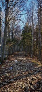 Foto von ReginaSt entlang der Tour