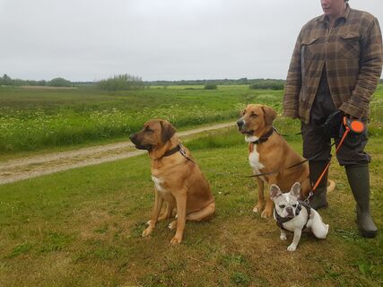 Fotó a Rotti Horrolt honlapról a túra során