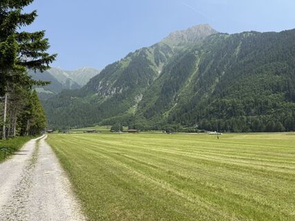 Foto från Damian Szostek under resans gång