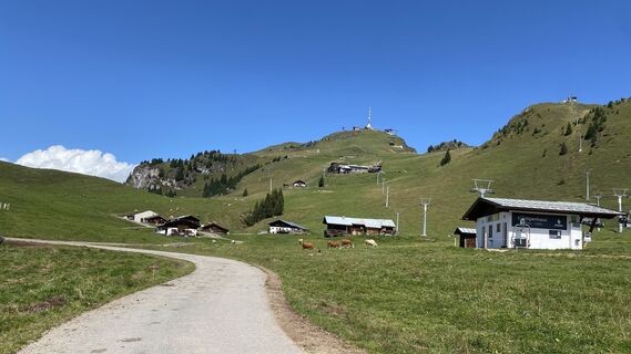 Foto von M Pelz entlang der Tour