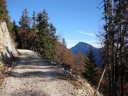 Blick auf das Ferlacher Horn