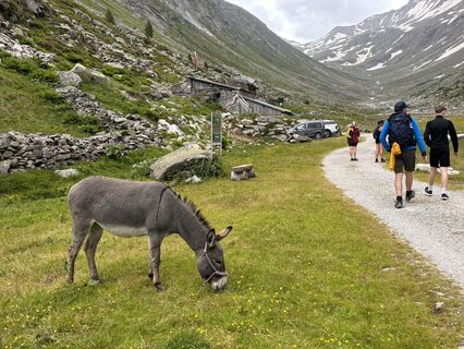 Fotografija s spletne strani Lena Däsler na poti