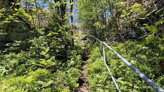 Photo de damilaja242 le long du parcours