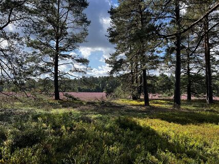 Foto de Tobias Baumert a lo largo del recorrido
