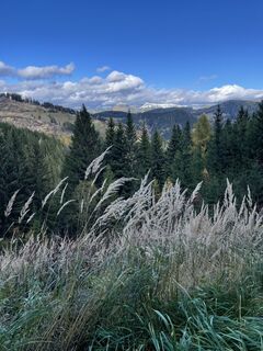 Foto da Halcsakj lungo il tour