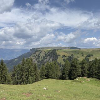 Photo de Kai Kempka le long du parcours