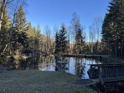 Idyllische Weiher sind das!