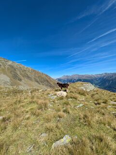 Foto von Martin Glaser entlang der Tour